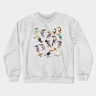 A Flock of Watercolor Toucans Crewneck Sweatshirt